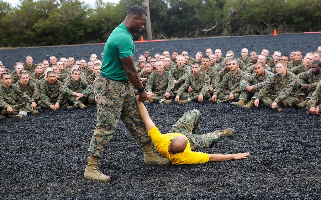 Marine Corps Martial Arts Program (MCMAP)